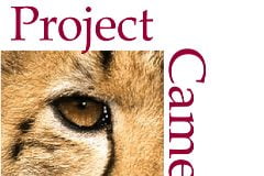 ProjectCamelot_getthetruthoutPoster1.jpg