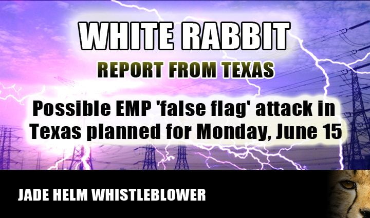 WHITE_RABBIT_EMP_TEXAS2.jpg